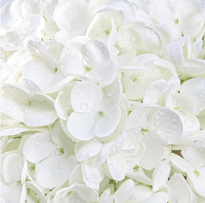 Offerta Speciale di Fabbrica: Fiori Artificiali Idratanti, Ortensie Finte 50cm (19.69 pollici) per Decorazioni Domestiche e Celebrazioni Festive - Product Image 4