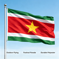 Drapeau national du Suriname 3x5 pieds 100% polyester, bannière extérieure, impression de logo personnalisée, drapeau de pays économique, pour festivals et défilés, approvisionnement en gros