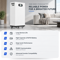 Batterie solaire empilable 51,2 V pour stockage d'énergie, 100 Ah, 200 Ah, 300 Ah, 10 kWh-30 kWh, murale, LiFePO4, CAN