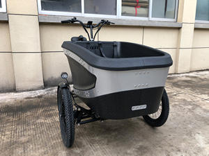 Tricycle électrique 2 places 250 watts <span class=keywords><strong>Bosch</strong></span> Epp Foam ANANDA M81, vélo cargo, vélo électrique pour enfants, cadre de velomobile, assistance au pédalage avec boîte de livraison - Product Image 6
