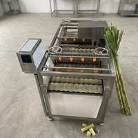 Dubbellaagse commerciële suikerrietwasmachine, suikerrietwas- en reinigingsmachine, suikerrietreiniger