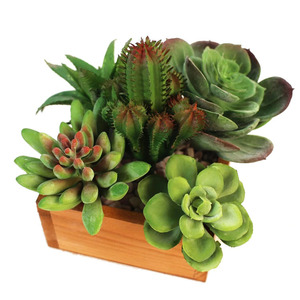 Plantes succulentes artificielles en forme de cactus pour paysages miniatures, plantes du désert pour plantes en pot et fleurs DIY - Product Image 2