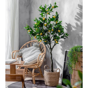 Macetas y jardineras Ins, <span class=keywords><strong>limonero</strong></span>, tienda de ropa en maceta, <span class=keywords><strong>Interior</strong></span> accesorios de decoración para el hogar, adornos, árbol, planta verde - Product Image 3