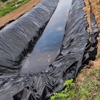 Geomembrana de HDPE para Estanques de Peces, Fabricada en China, Grosor Personalizado para Proyectos de Acuicultura y Vertederos