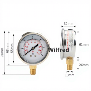 6 इंच बार/किलो/सेमी दबाव गेज मीट्रिक थ्रेड पैनल लगाया गया - Product Image 2