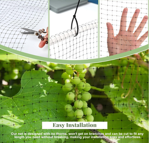 Filet anti-oiseaux extrudé <span class=keywords><strong>sans</strong></span> nœuds |   Filet BOPP stabilisé aux UV, léger, protection des cultures, anti-taupe, maille <span class=keywords><strong>de</strong></span> jardin - Product Image 5