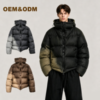 Veste d'hiver chaude pour homme, style streetwear, avec capuche, en duvet, à blocs de couleur ombrés, personnalisable avec logo OEM.