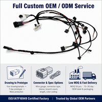 Konektor Kabel Harness Otomotif Tegangan Rendah untuk Injektor Peralatan Konstruksi 12V 24V OEM ODM