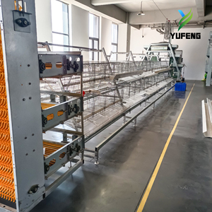 Système de cages automatiques pour poules pondeuses, cages en batterie de type A en maille pour l'élevage avicole, en acier galvanisé à chaud, longue durée de vie - Product Image 6