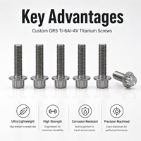 Vis en titane personnalisées GR5 Ti-6Al-4V M3 M6 pour vélo, moto, dispositif médical, haute résistance