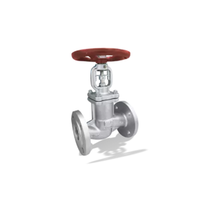 NOUVEAU BOACHEM-ZXAB Globe PN10-40 DN15-400 Raccord à bride avec volant manuel en acier inoxydable - Product Image 2