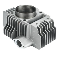 Bloc-cylindre de moto fourni par l'usine, compatible YX150 YX160 150/160cc, accessoires pour motos tout-terrain Kaya Xmotos Apollo