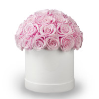 Fleurs réelles préservées pour Noël, cadeau de la Saint-Valentin, roses éternelles en boîte, roses préservées à jamais, vente en gros