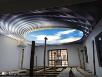 CHINE 2025 Nouveau design Où acheter du film de plafond tendu en grande quantité Film de plafond tendu 3D Film PVC