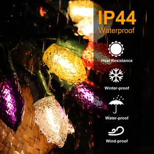 2023 Giáng Sinh Trang Trí Ánh Sáng Cho Ngôi Nhà Giáng Sinh Cây Chuỗi Ánh Sáng Giáng Sinh Motif Tại Trung Quốc - Product Image 4