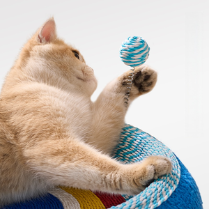 Grosir penggaruk kucing 3-in-1 untuk kucing dalam ruangan melindungi furnitur kucing bantalan goresan kardus dengan mainan bola - Product Image 3