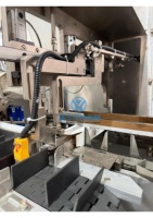 Machine d'emballage horizontale automatique à grande vitesse YH pour boîtes en carton de pâtes spaghetti