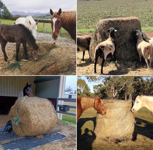 Grand <span class=keywords><strong>filet</strong></span> à foin rond pour les courses <span class=keywords><strong>de</strong></span> chevaux, fermes, 6*6 pieds, 5x5 pieds, 4x5 pieds - Product Image 4