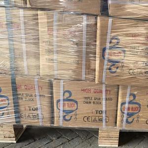 Rantai Angkat Rantai Hoist 1t 2t 3 Ton dengan Hook Tempa Penuh, Pasokan Langsung dari Pabrik China - Product Image 6