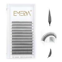 EMEDA Vison Impression 3D Anime Spire Premade Lashes Volume Spike Extensions de Cils Fournitures En Gros Doux Comic Spire Lash Trays