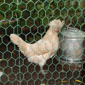 強化鶏ケージ床鳥ブロッカーソーラーパネルフェンス六角形PVCコーティング金網ロール - Product Image 3