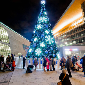 Đồ Trang Trí Giáng Sinh Ngoài Trời Cây Giáng Sinh Nhân Tạo Có Thể Lập Trình 15 Đến <span class=keywords><strong>20</strong></span> <span class=keywords><strong>Ft</strong></span> Kèm Đèn Để Bán - Product Image 6