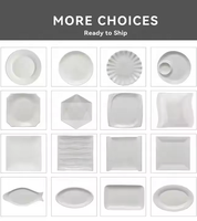 Assiette de Table en Céramique Porcelaine Blanche Ronde Personnalisée Pas Chère en Gros pour Restaurant, Hôtel, Cuisine, Mariage