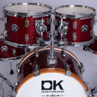 Kit de tambour de Jazz professionnel, 5 pièces, Portable, de haute qualité, vente en gros, pour entraînement central de musique, promotion spéciale