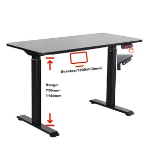 Ada Modern Home Office Factory Direct Ergonomic Computer Study Single Motor Electric Height Adjustable Standing Desk