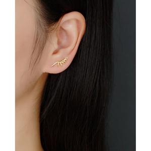 Moda Popular S925 plata esterlina 18K chapado en oro Cubic Zirconia CZ alas gancho pendientes para mujer - Product Image 3