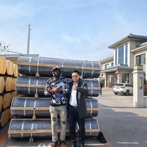 Electrodos <span class=keywords><strong>de</strong></span> <span class=keywords><strong>Grafito</strong></span> <span class=keywords><strong>de</strong></span> Alta Pureza y Calidad <span class=keywords><strong>de</strong></span> Fábrica China, Producto Resistente a Altas Temperaturas en Venta - Product Image 3