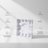 Plateau en pulpe moulée sur mesure, emballage intérieur en pulpe de papier pour l'électronique, les bouteilles, l'affichage en magasin et l'emballage de protection