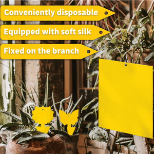 ตัวดักจับแมลงสีเหลืองสำหรับบ้านกลางแจ้งกับดักแมลงวันเหนียวสำหรับแขวน - Product Image 6