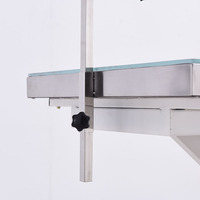 Table de toilettage réglable pour animaux de compagnie Nouveau design Pliable Électrique Croix de levage en acier inoxydable Source d'alimentation