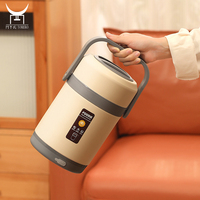 Boîte à déjeuner à Double couche chauffante, en acier inoxydable 304, Portable, Type de Charge, marmite à ragoût isolée et chauffante sous vide