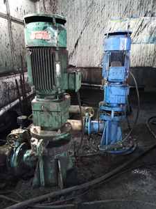 Bomba de Cavidad Progresiva A01 OU - Product Image 5