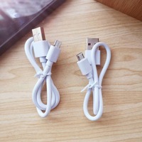 Vente en gros 30cm 2A câble Micro USB V8 Micro B vers USB un chargeur mâle câble TYPE C pour téléphone Android haut-parleur de banque d'alimentation