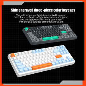 คีย์บอร์ดเกมมิ่งแบบมีสาย 75% สีดำ สวิตช์เงียบ ไฟ RGB Backlit 87 ปุ่ม ขนาดกะทัดรัด TKL แบบตั้งโปรแกรมได้ USB ZIFRIEND G87 Gaske - Product Image 4