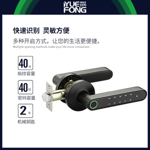 Yuefeng Maishi Smart Door <b>Lock</b> 7602 Graffiti Split Electronic Handle Password Unlock With <b>Key</b> Backup - Product Image 5
