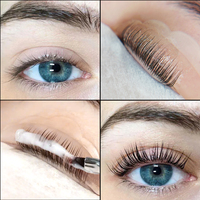 Kit de lifting et teinture des cils et des sourcils 2-en-1 Gollee avec lotion, crème, baume et gel, marque privée, semi-permanent, DIY à domicile
