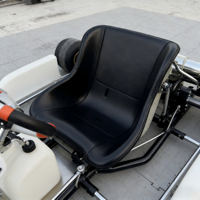 Go Karts Profesionales de 7ª Generación con Motor de Gasolina de 4 Tiempos, Personalizados OEM, Frenos de Disco Hidráulicos para Exteriores, Transmisión por Engranajes, Capacidad de Carga de 200 kg