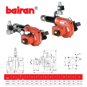 Brûleurs à gaz en acier inoxydable BAIRAN, directement <span class=keywords><strong>de</strong></span> l'usine chinoise, pièces <span class=keywords><strong>de</strong></span> chaudière industrielle, brûleurs à gaz économes en énergie <span class=keywords><strong>pour</strong></span> chaudière à vapeur - Product Image 2