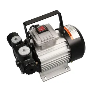 Usine professionnelle petit Portable 550W Diesel kérosène carburant transfert pompe à huile AC 220V pour camion Marine bateau voiture