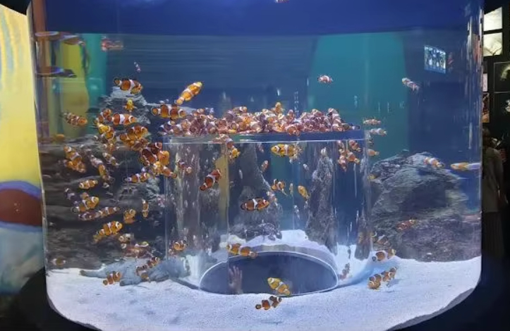 โปร่งใส