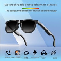 Gafas Inteligentes Electrocrómicas G61, Llamadas Inalámbricas por BT, Reproducción de Música ENC, Traducción por IA, Control Táctil, IPX-5