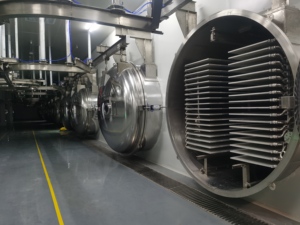 آلة التجفيف بالتوت الأزرق والفراولة Liofilizador - Product Image 6