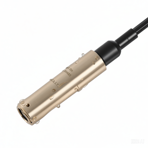 Registrador de Datos Sumergible Inalámbrico de Acero Inoxidable 316L para Monitoreo del Nivel de Agua en Granjas, Precisión del 0.5%, Resistente al Agua IP68, RS485 - Product Image 2