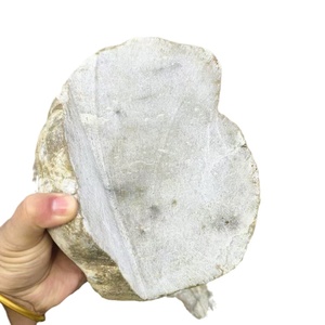 Pavimentación <span class=keywords><strong>de</strong></span> pared <span class=keywords><strong>de</strong></span> fondo moderno, guijarro en rodajas, piedra Natural, acabado pulido, respetuoso con el medio ambiente, garantía <span class=keywords><strong>de</strong></span> 5 años, Paisajismo al aire libre - Product Image 1
