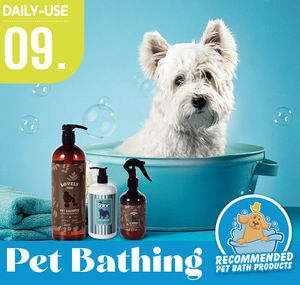 Haustier-Shampoo-Conditioner individuelle Eigenmarke Haustier-Reinigungs- und Pflegeprodukte Nursing Care Pruritus Entwurzelung Katzen-Hunde-Shampoo - Product Image 2