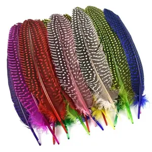 Wholesale Natural Pearl Guinea Fowl Feathers Chicken Spotted Pheasant Feather Dream Catcher Handicraft Accessories